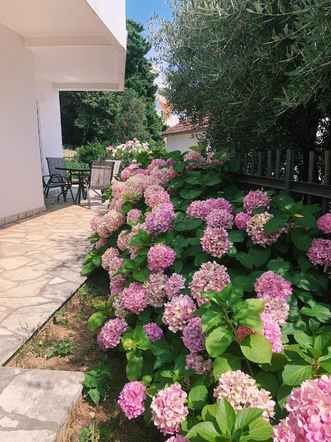 Apartments Hollaj Улцинь Екстер'єр фото